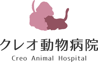 クレオ動物病院　Creo Animal Hospital